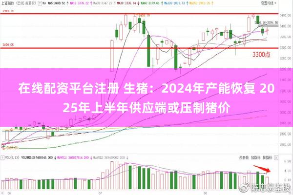 在线配资平台注册 生猪：2024年产能恢复 2025年上半年供应端或压制猪价