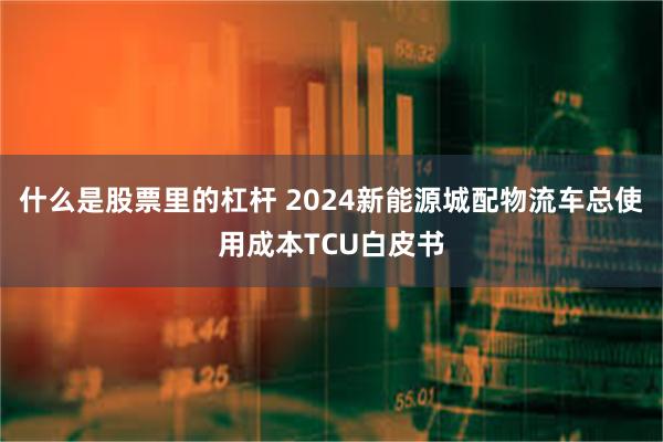 什么是股票里的杠杆 2024新能源城配物流车总使用成本TCU白皮书