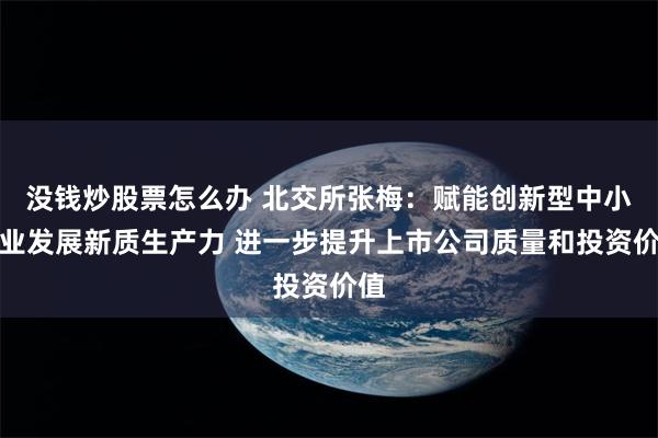 没钱炒股票怎么办 北交所张梅：赋能创新型中小企业发展新质生产力 进一步提升上市公司质量和投资价值