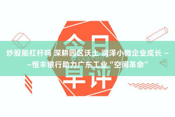 炒股能杠杆吗 深耕园区沃土 润泽小微企业成长 ——恒丰银行助力广东工业“空间革命”