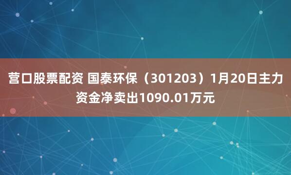 营口股票配资 国泰环保（301203）1月20日主力资金净卖出1090.01万元