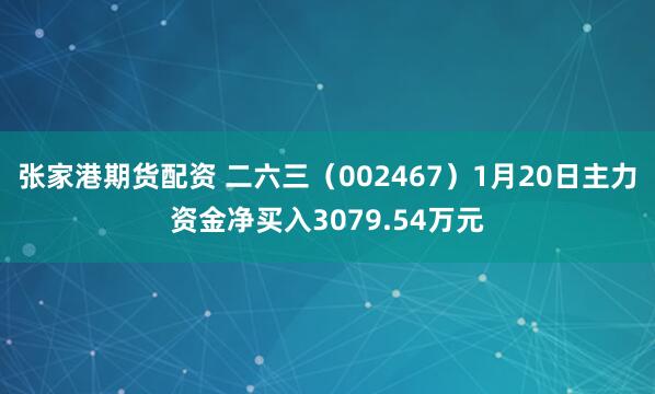 张家港期货配资 二六三（002467）1月20日主力资金净买入3079.54万元