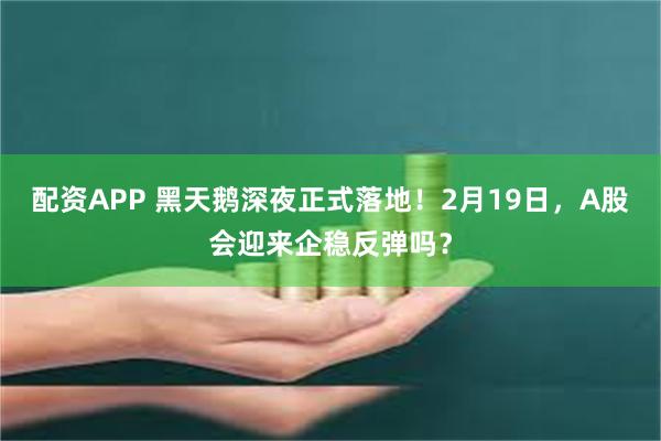 配资APP 黑天鹅深夜正式落地！2月19日，A股会迎来企稳反弹吗？