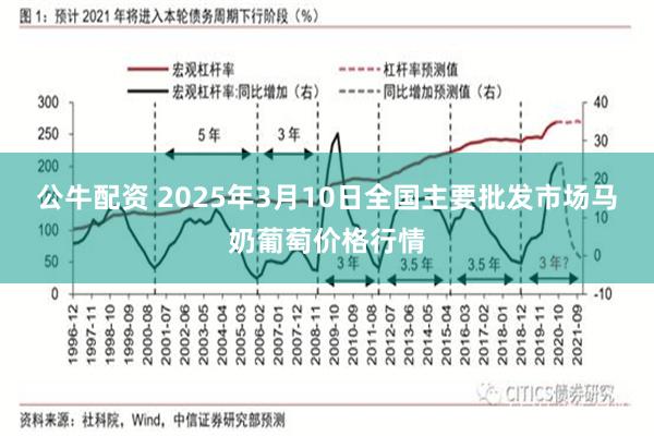 公牛配资 2025年3月10日全国主要批发市场马奶葡萄价格行情