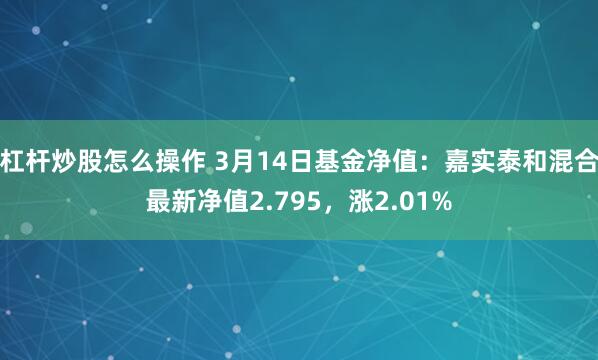 杠杆炒股怎么操作 3月14日基金净值：嘉实泰和混合最新净值2.795，涨2.01%