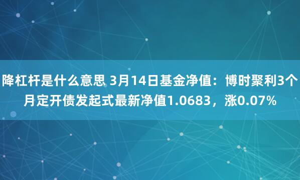 降杠杆是什么意思 3月14日基金净值：博时聚利3个月定开债发起式最新净值1.0683，涨0.07%